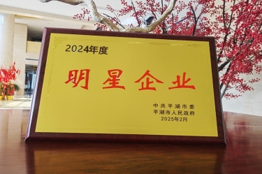 新春新景新氣象 | 景興紙業(yè)在平湖三干大會上喜摘榮譽！